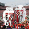 The Cat In The Hat Ohio State Buckeyes Hoodie 3d 0