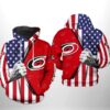 Carolina Hurricanes US Flag 3D All Over Print Hoodie with Zip up Option Show Your Team Spirit 1